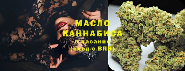 индика Аркадак