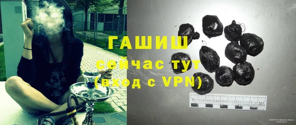 индика Аркадак